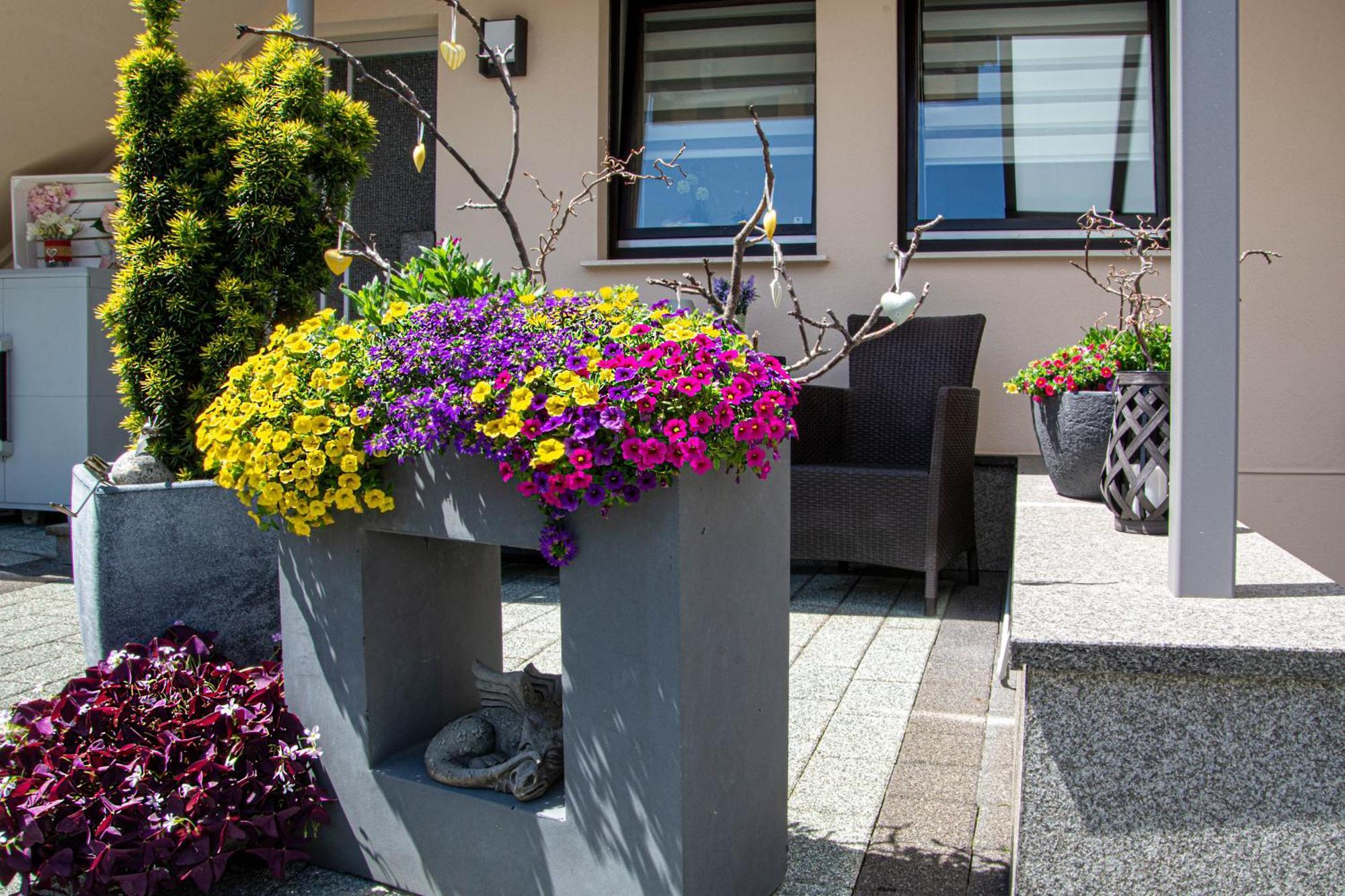 Ferien - I.d. Nordstadt Apartment